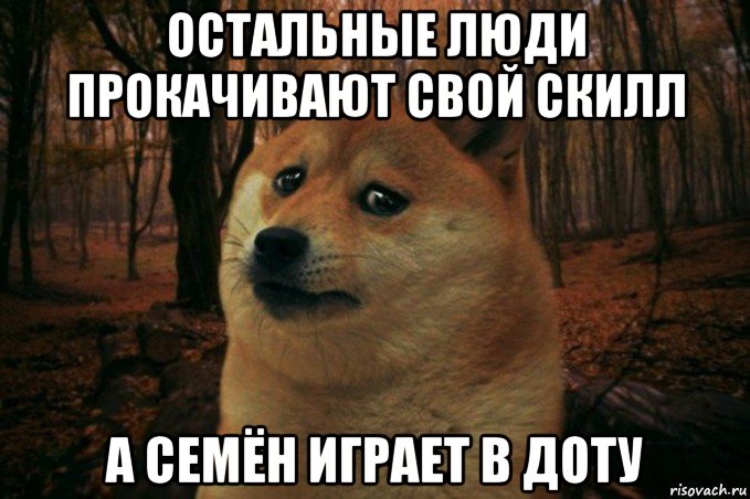 остальные люди прокачивают свой скилл а семён играет в доту, Мем SAD DOGE