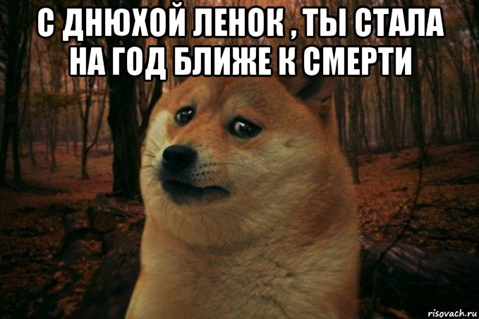 с днюхой ленок , ты стала на год ближе к смерти , Мем SAD DOGE