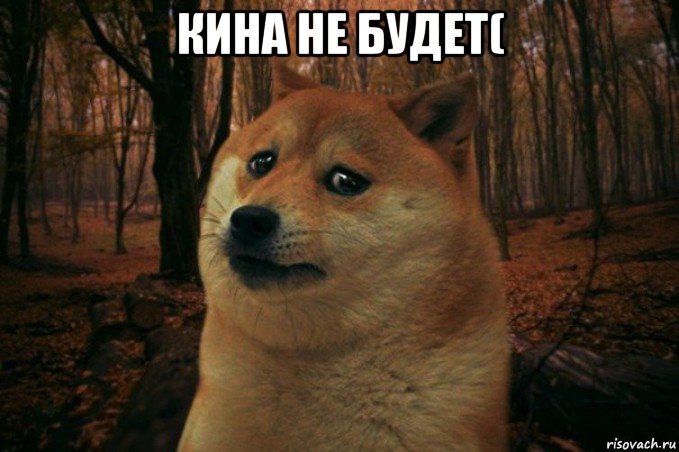 кина не будет( , Мем SAD DOGE