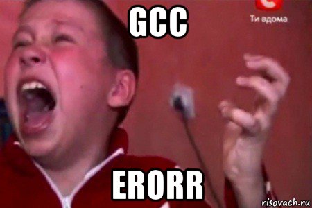 gcc erorr, Мем  Сашко Фокин орет