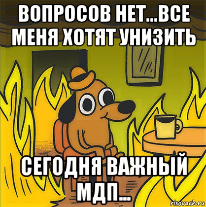 вопросов нет...все меня хотят унизить сегодня важный мдп..., Мем Собака в огне