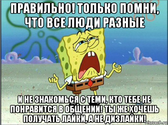 правильно! только помни, что все люди разные и не знакомься с теми, кто тебе не понравится в общении! ты же хочешь получать лайки, а не дизлайки!, Мем Спанч Боб плачет