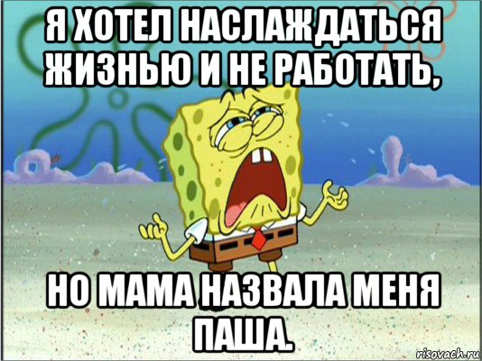 я хотел наслаждаться жизнью и не работать, но мама назвала меня паша., Мем Спанч Боб плачет