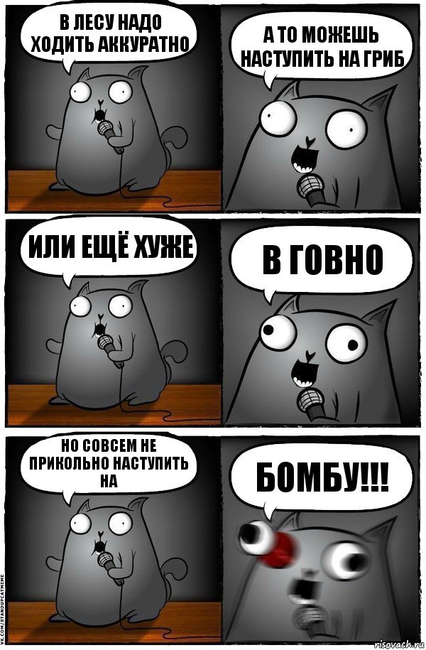 В лесу надо ходить аккуратно А то можешь наступить на гриб Или ещё хуже в говно Но совсем не прикольно наступить на Бомбу!!!, Комикс  Стендап-кот