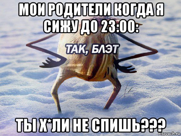 мои родители когда я сижу до 23:00: ты х*ли не спишь???