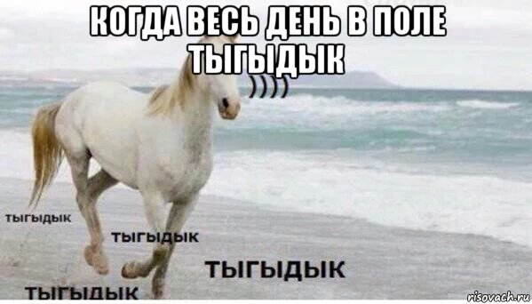 когда весь день в поле тыгыдык , Мем   Тыгыдык