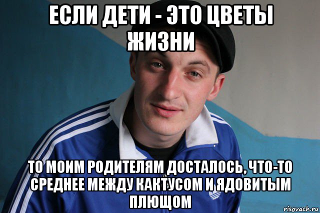 если дети - это цветы жизни то моим родителям досталось, что-то среднее между кактусом и ядовитым плющом, Мем Типичный гопник