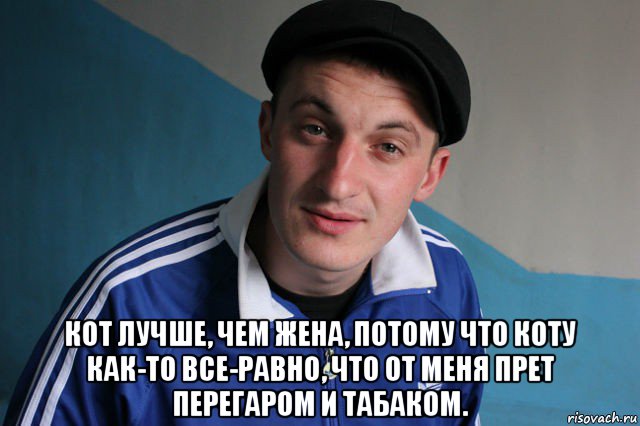  кот лучше, чем жена, потому что коту как-то все-равно, что от меня прет перегаром и табаком., Мем Типичный гопник