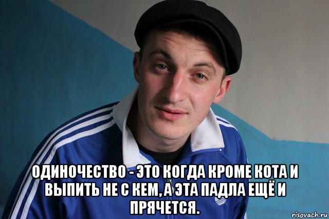  одиночество - это когда кроме кота и выпить не с кем, а эта падла ещё и прячется., Мем Типичный гопник