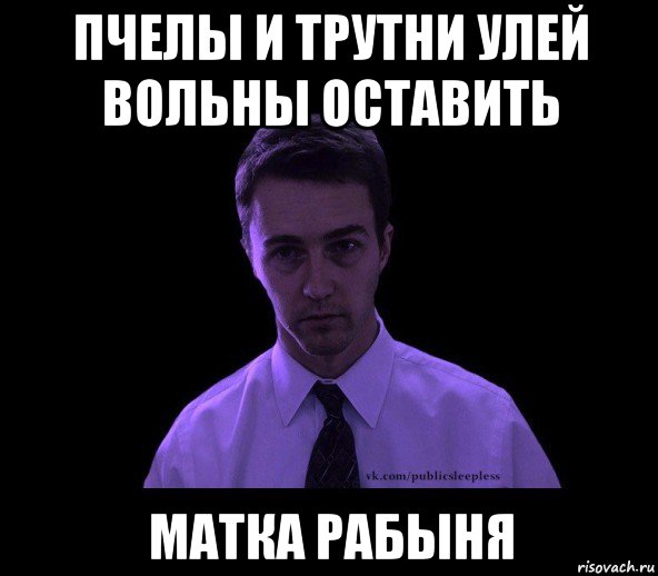 пчелы и трутни улей вольны оставить матка рабыня, Мем типичный недосыпающий