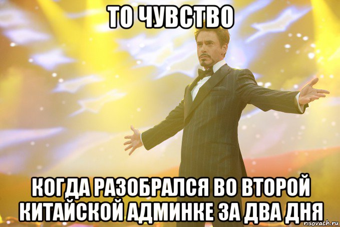 то чувство когда разобрался во второй китайской админке за два дня, Мем Тони Старк (Роберт Дауни младший)