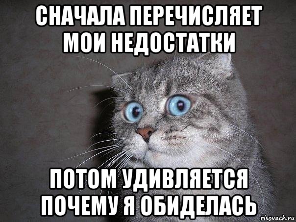 сначала перечисляет мои недостатки потом удивляется почему я обиделась, Мем  удивлённый кот