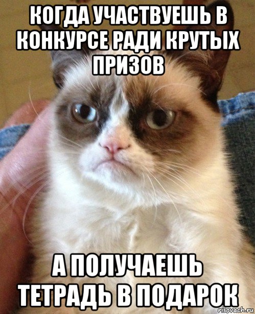 когда участвуешь в конкурсе ради крутых призов а получаешь тетрадь в подарок, Мем Угрюмый кот