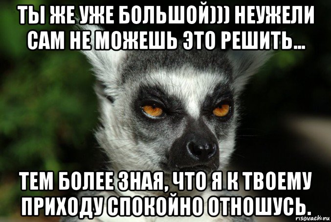 ты же уже большой))) неужели сам не можешь это решить... тем более зная, что я к твоему приходу спокойно отношусь., Мем   Я збагоен