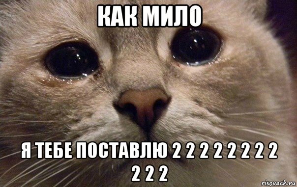 как мило я тебе поставлю 2 2 2 2 2 2 2 2 2 2 2, Мем   В мире грустит один котик