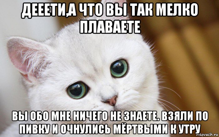 дееети,а что вы так мелко плаваете вы обо мне ничего не знаете. взяли по пивку и очнулись мёртвыми к утру, Мем  В мире грустит один котик