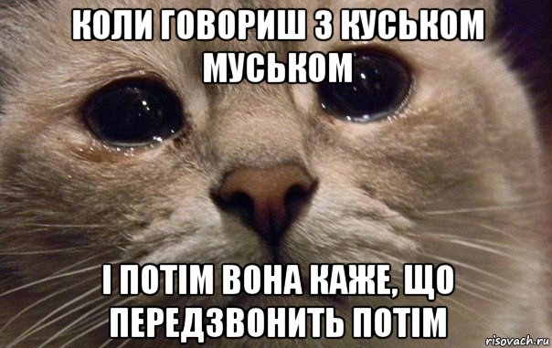 коли говориш з куськом муськом і потім вона каже, що передзвонить потім, Мем   В мире грустит один котик