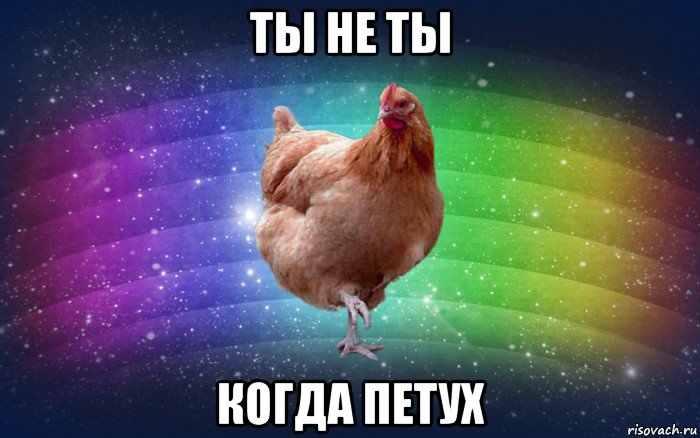 ты не ты когда петух