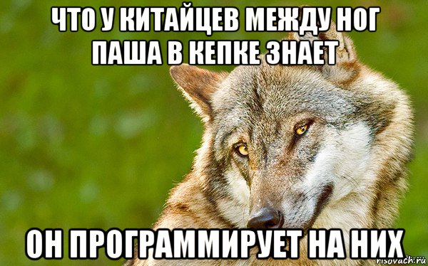 что у китайцев между ног паша в кепке знает он программирует на них, Мем   Volf