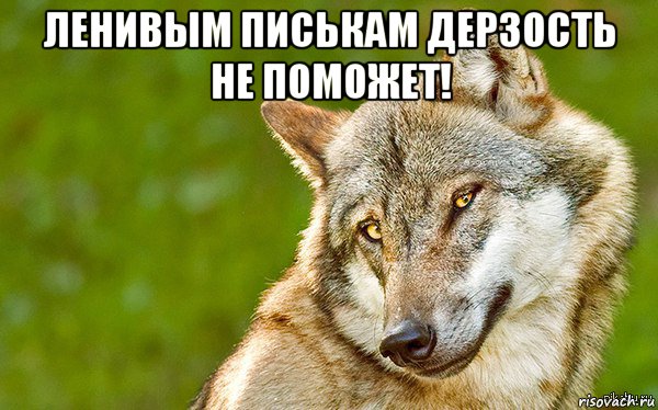 ленивым писькам дерзость не поможет! , Мем   Volf