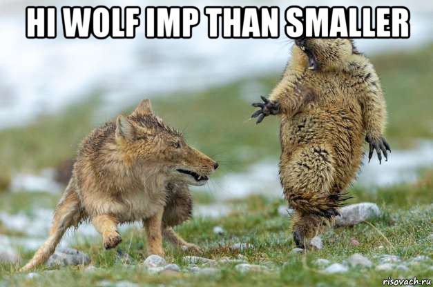 hi wolf imp than smaller , Мем Волк и суслик