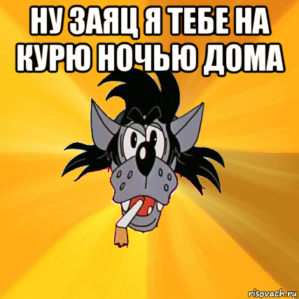 ну заяц я тебе на курю ночью дома 