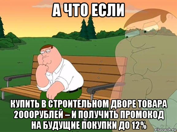 а что если купить в строительном дворе товара 2000рублей – и получить промокод на будущие покупки до 12%, Мем Задумчивый Гриффин