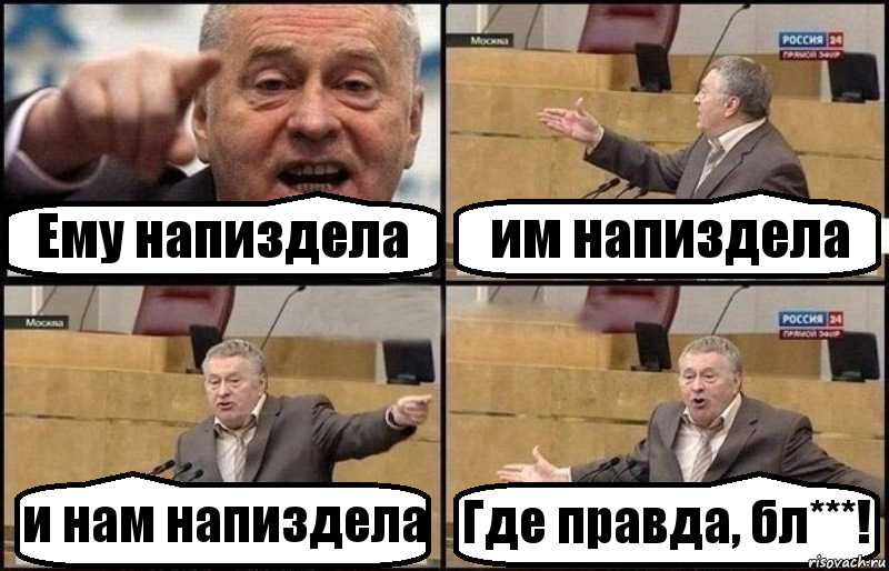 Ему напиздела им напиздела и нам напиздела Где правда, бл***!, Комикс Жириновский