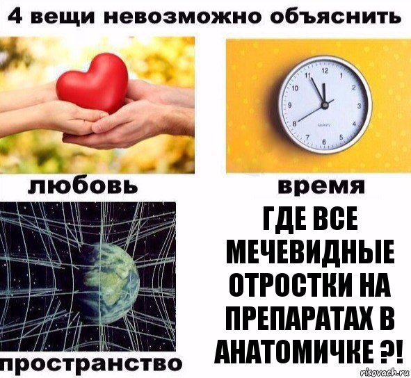 Где все мечевидные отростки на препаратах в анатомичке ?!, Комикс  4 вещи невозможно объяснить