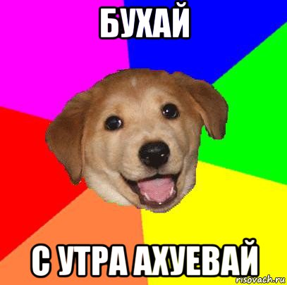 бухай с утра ахуевай, Мем Advice Dog