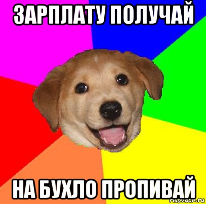 зарплату получай на бухло пропивай, Мем Advice Dog