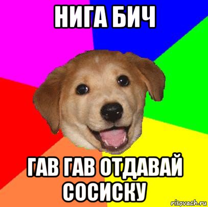 нига бич гав гав отдавай сосиску, Мем Advice Dog