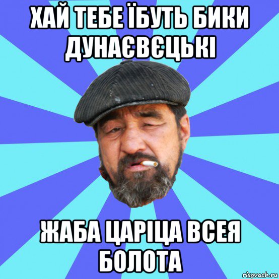 хай тебе їбуть бики дунаєвєцькі жаба царіца всея болота, Мем Бомж флософ