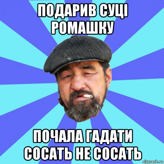 подарив суці ромашку почала гадати сосать не сосать