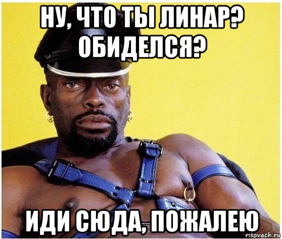 ну, что ты линар? обиделся? иди сюда, пожалею