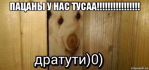 пацаны у нас тусаа!!!!!!!!!!!!!!!! , Мем  Дратути