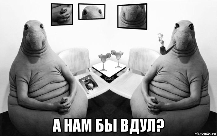  а нам бы вдул?