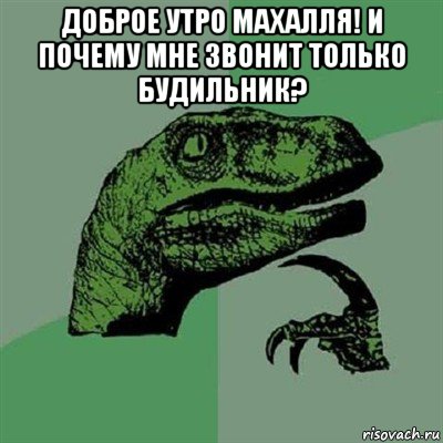 доброе утро махалля! и почему мне звонит только будильник? , Мем Филосораптор