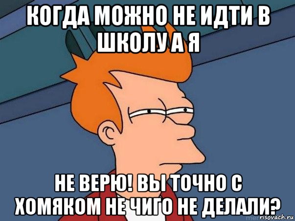 когда можно не идти в школу а я не верю! вы точно с хомяком не чиго не делали?, Мем  Фрай (мне кажется или)