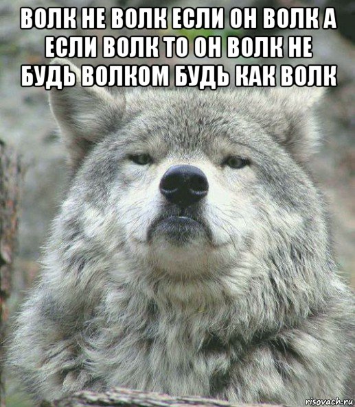 волк не волк если он волк а если волк то он волк не будь волком будь как волк , Мем    Гордый волк