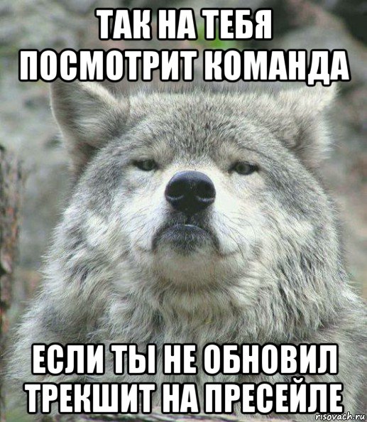 так на тебя посмотрит команда если ты не обновил трекшит на пресейле, Мем    Гордый волк