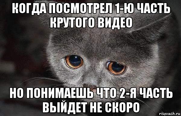 когда посмотрел 1-ю часть крутого видео но понимаешь что 2-я часть выйдет не скоро, Мем  Грустный кот