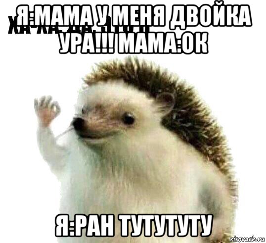 я:мама у меня двойка ура!!! мама:ок я:ран тутутуту