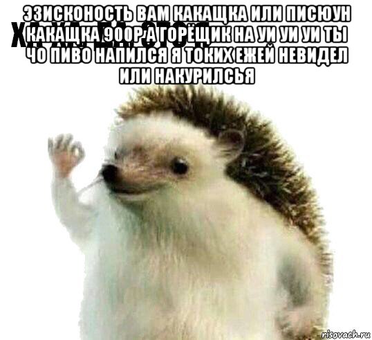 эзисконость вам какащка или писюун какащка 900р а горёщик на уи уи уи ты чо пиво напился я токих ежей невидел или накурилсья , Мем Ха-ха да это я