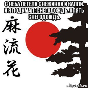 с неба летели снежинки и капли. и я подумал: снегодождь. опять снегодождь. , Мем Хокку