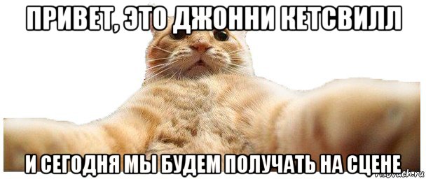 привет, это джонни кетсвилл и сегодня мы будем получать на сцене, Мем   Кэтсвилл