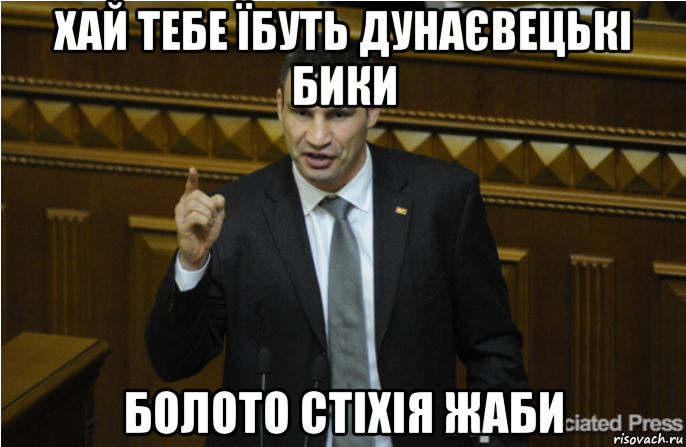 хай тебе їбуть дунаєвецькі бики болото стіхія жаби, Мем кличко философ