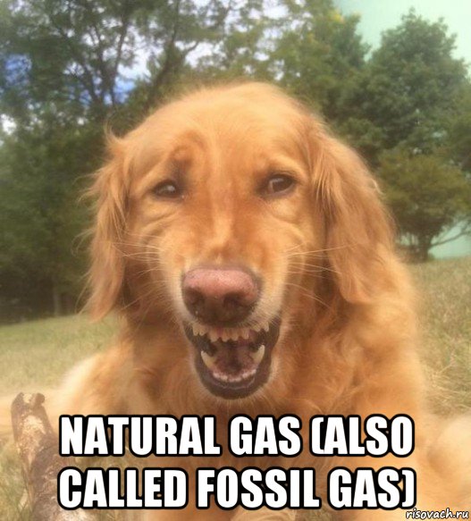  natural gas (also called fossil gas), Мем   Когда увидел что соседского кота отнесли в чебуречную