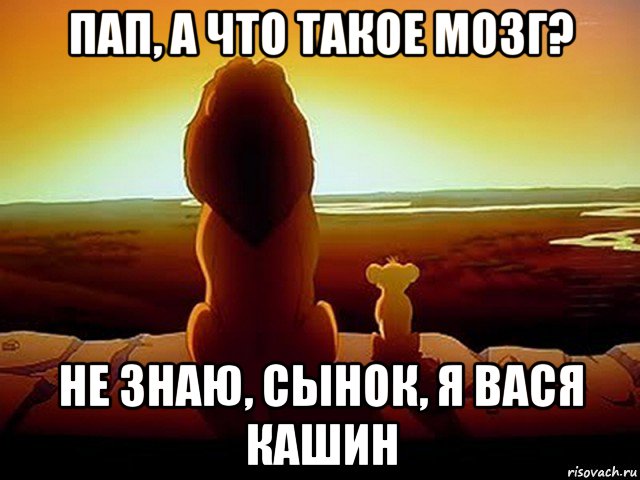 пап, а что такое мозг? не знаю, сынок, я вася кашин, Мем  король лев