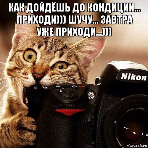 как дойдёшь до кондиции... приходи))) шучу... завтра уже приходи...))) 